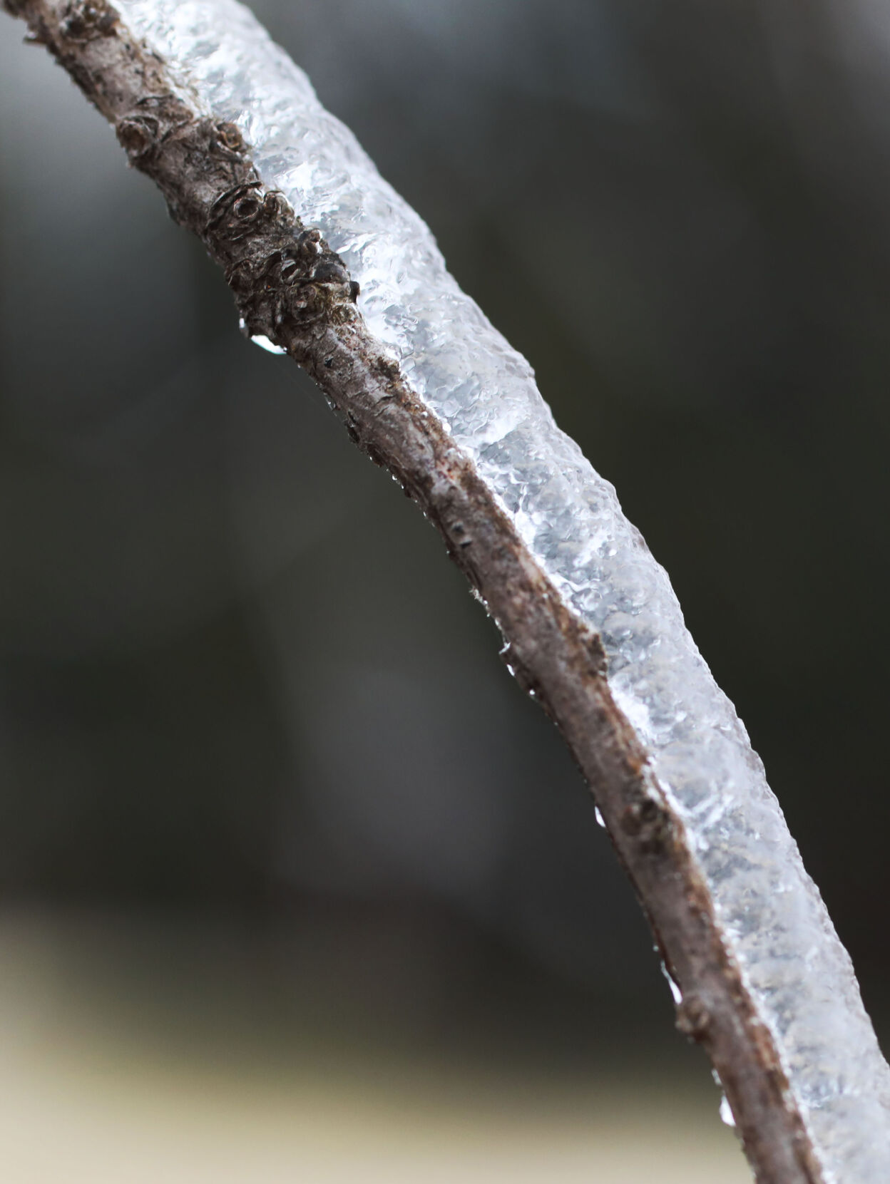 Icy Weather